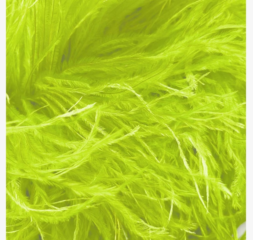 Boa Tropic Lime, pštrosí peří