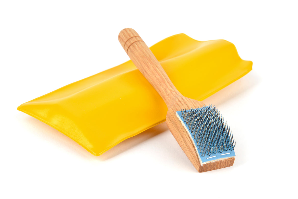 HellerDance Shoe brush