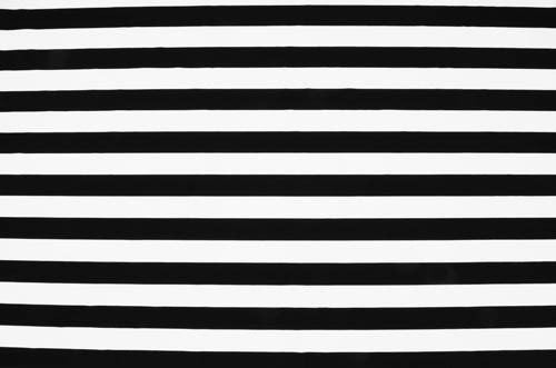 Lycra, Stripe Print, Black, š. 140cm, 80% PA, 20% EA