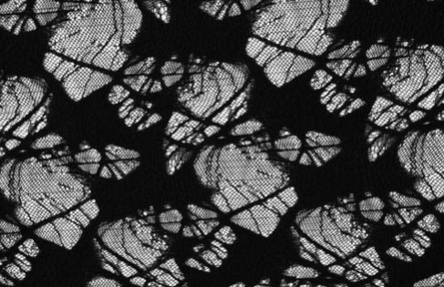 El. krajka Inspiration, Black, š. 140cm, 80% PAD, 20% EA