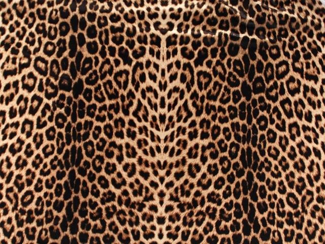 Lycra Animal print, š. 140cm, 82%PAD, 18%EA