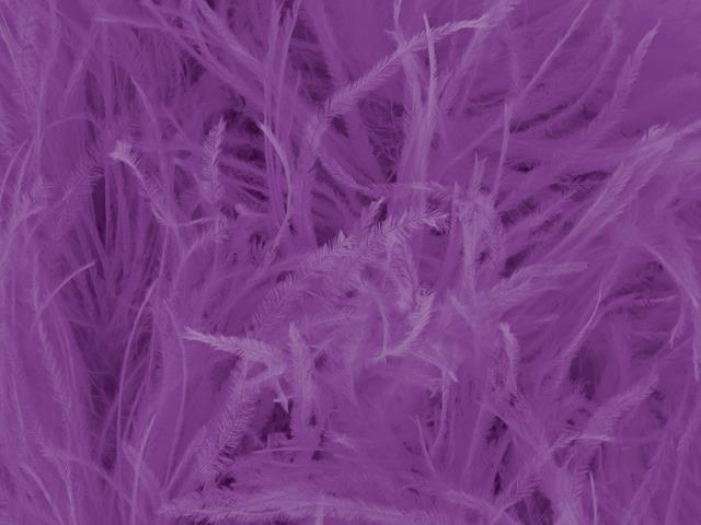 Boa Lilac Dream, pštrosí peří