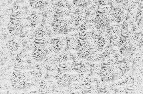 El. krajka Fantasy, White, š. 140cm, 85% PA, 15% EA