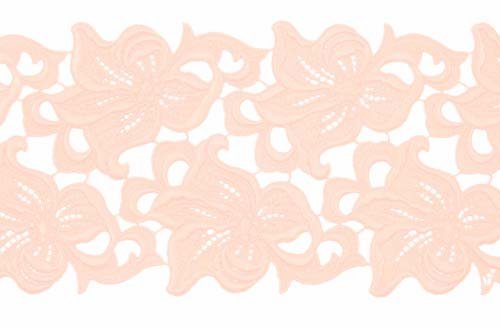 Krajkový pás Lily,  Champagne, š. 15cm