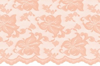 El. krajka Lily, Champagne, š. 140 cm, 85% PA, 15% EA