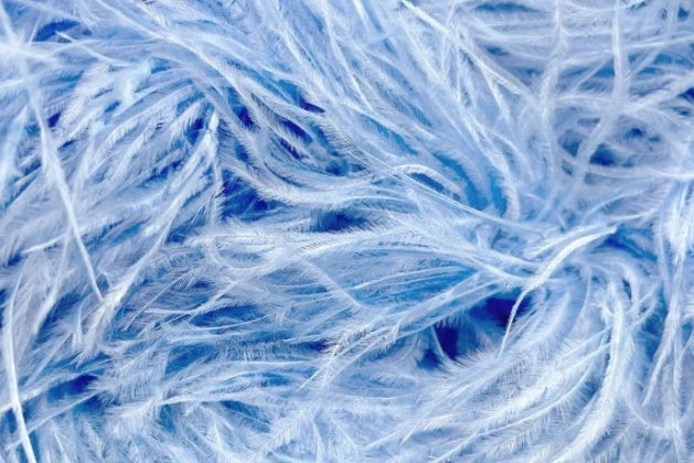 Feather boa  Bluebell,