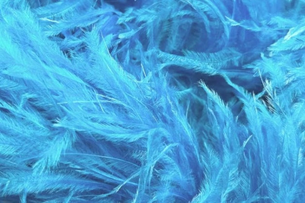 Feather boa, Blue Paradise