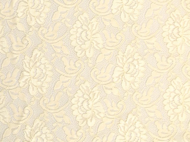 Stretch lace Flower, Cream  165 cm wide, 95% PA, 5% LY