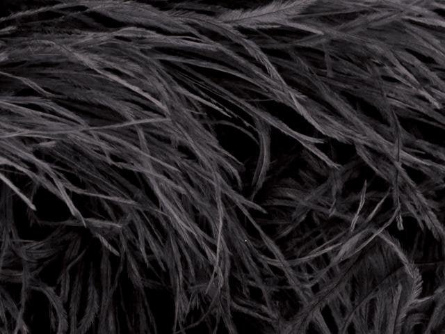 Feather fringe, Black