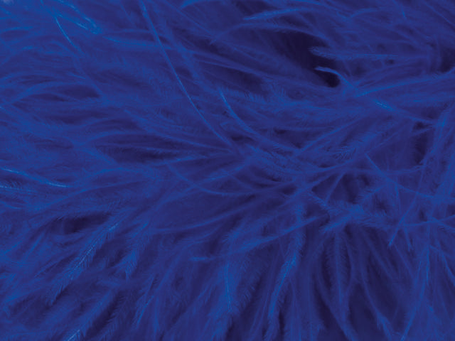 Boa  Cobalt, pštrosí peří