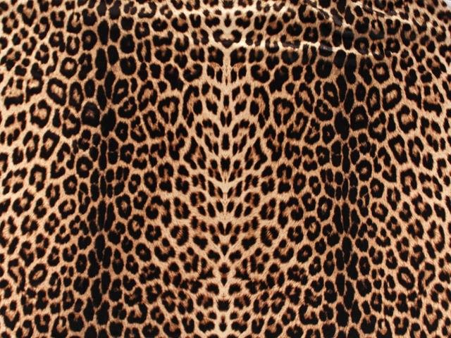 Lycra Animal double Print, 140 cm wide, 80% PA, 20% EA