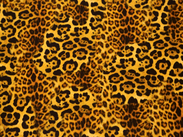 Safari print lycra 80%PAD , 20%EA