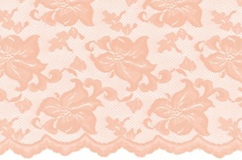 Stretch lace Lily, Champagne, 140 cm wide, 85% PA, 15% EA