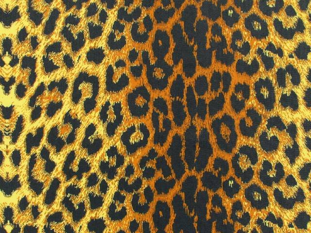 Leopard print lycra Black in Saffron  80%PAD , 20%EA