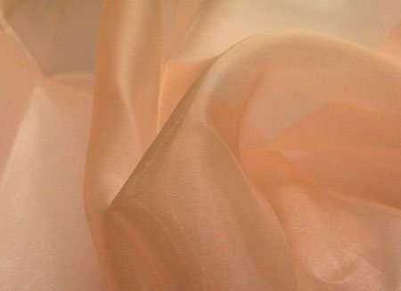 Organza, Champagne, 140 cm wide, 100% PES